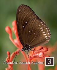 Title: Number Search Puzzles 3: 100 Elegant Puzzles in Large Print, Author: Puzzlefast Books