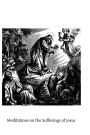 Meditations on the Sufferings of Jesus