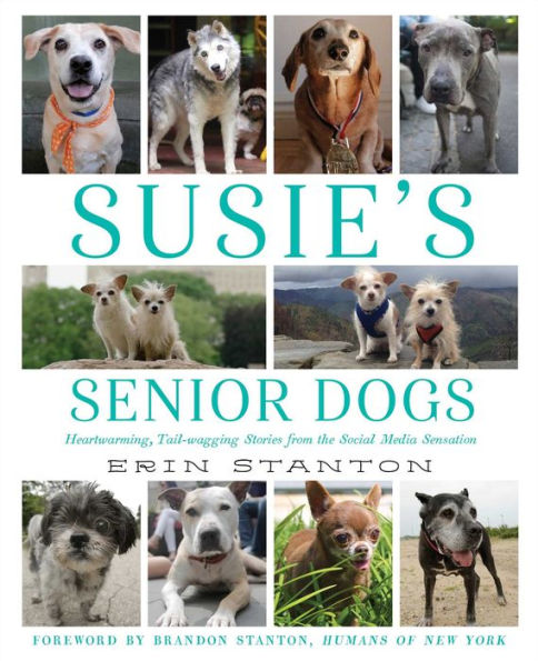 Susie's Senior Dogs