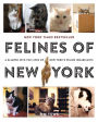 Felines of New York: A Glimpse Into the Lives of New York's Feline Inhabitants