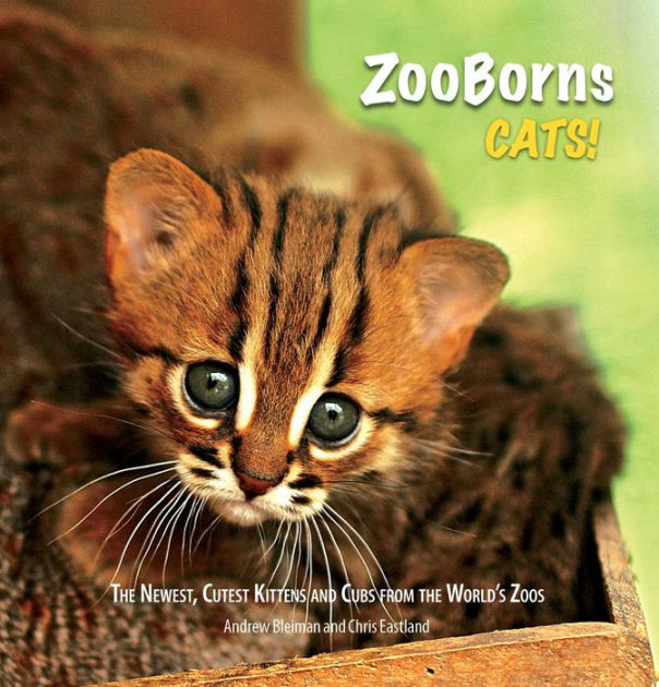 ZooBorns Cats The Newest Cutest Kittens and Cubs from the