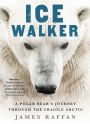 Ice Walker: A Polar Bear's Journey through the Fragile Arctic