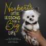 Norbert's Little Lessons for a Big Life