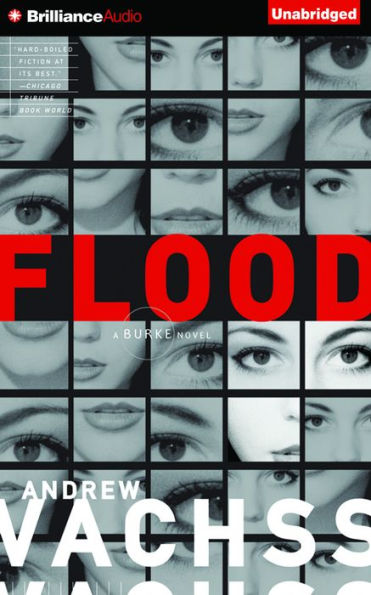 Flood: A Novel