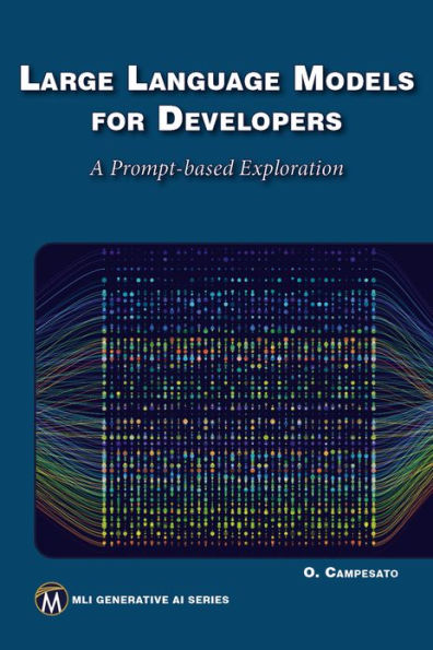 Large Language Models for Developers: A Prompt-based Exploration of LLMs