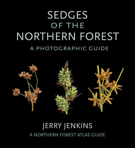 Sedges of the Northern Forest: A Photographic Guide