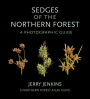 Sedges of the Northern Forest: A Photographic Guide
