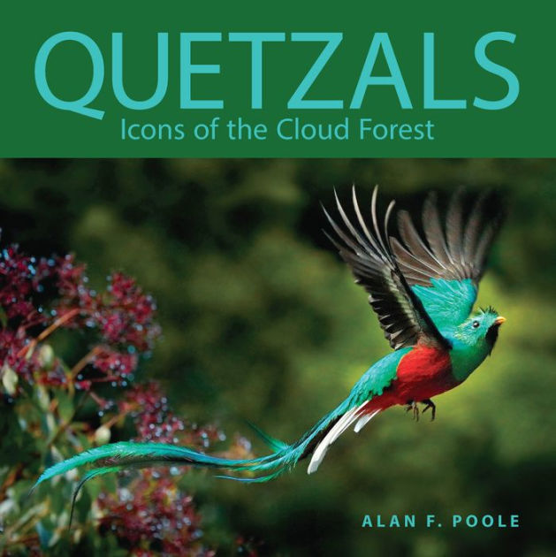 Quetzals Icons of the Cloud Forest by Alan F. Poole, Paperback