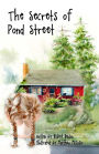 The Secrets of Pond Street