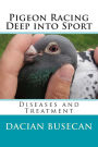 Pigeon Racing