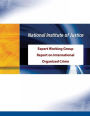 Expert Working Group Report on International Organized Crime
