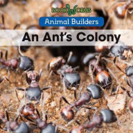 Title: An Ant's Colony, Author: Erika de Nijs