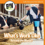 What's Work Like Around the World?