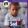 Sometimes We Feel Sad