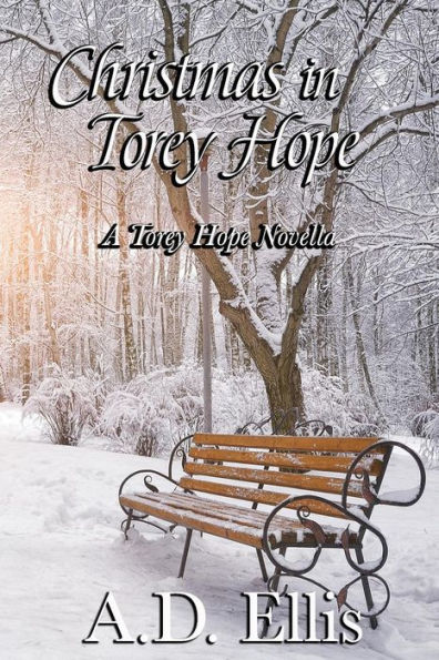 Christmas in Torey Hope: A Novella