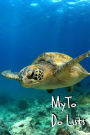 My To Do Lists: Turtle Small