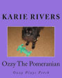Ozzy The Pomeranian: Ozzy Plays Fetch