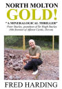 North Molton Gold
