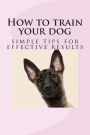 How to train your dog: simple tips for effective results