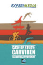 Carviren Case of Study: An Experimedia Experiment