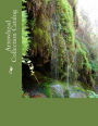 Arrowhead Collection Catalog