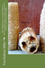 The Performance of Loofah Fiber in Mortar: A Pilot Study on the Compressive, Ten