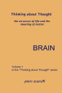 Thinking about Thought 1 - Brain