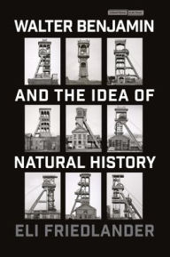 Title: Walter Benjamin and the Idea of Natural History, Author: Eli Friedlander