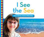 I See the Sea : Teaching Homophones