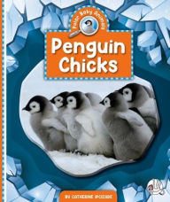 Title: Penguin Chicks, Author: Catherine Ipcizade