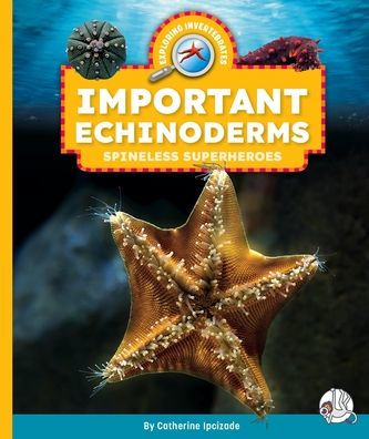 Important Echinoderms: Spineless Superheroes