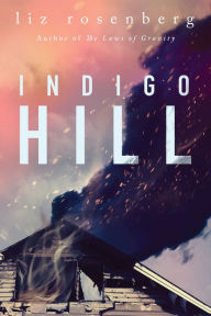 Title: Indigo Hill: A Novel, Author: Liz Rosenberg