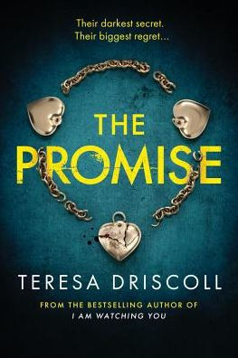 The Promise By Teresa Driscoll Paperback Barnes Noble