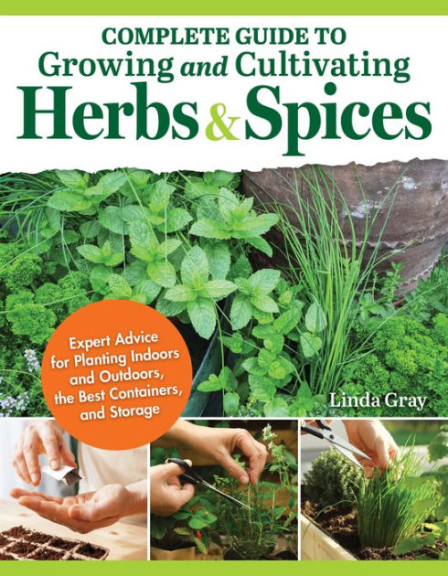 A Guide to Cooking with Herbs and Spices