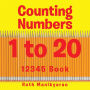 Counting Numbers 1 to 20: 12345 Book
