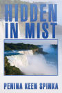 Hidden in Mist