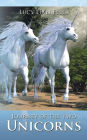 Journey of the Two Unicorns