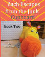 Zach Escapes From The Junk Cupboard