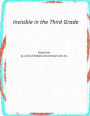 Novel Unit for Invisible in the Third Grade