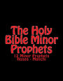 The Holy BIble Minor Prophets: 12 Minor Prophets Hosea - Malichi