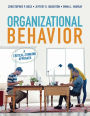 Organizational Behavior: A Critical-Thinking Approach / Edition 1