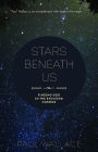 Stars Beneath Us: Finding God in the Evolving Cosmos