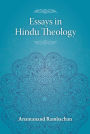 Essays in Hindu Theology