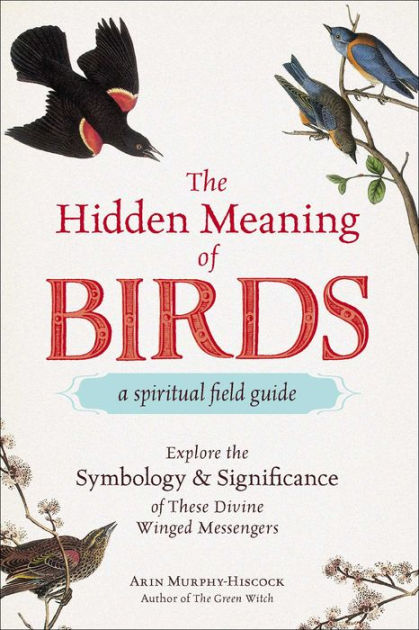 Bird Symbolism, Spiritual Meanings, and Omens Explained - Exemplore