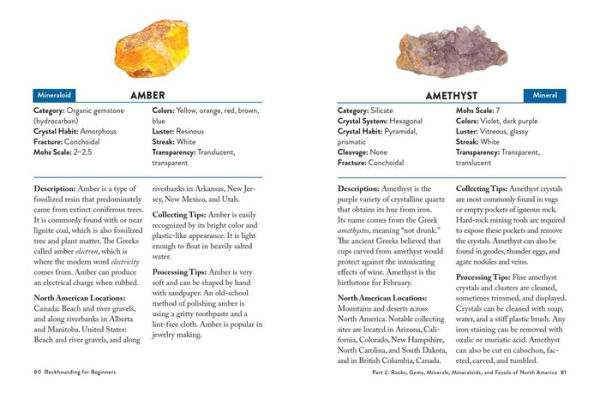 Rockhounding for Beginners: Your Comprehensive Guide to Finding and Collecting Precious Minerals, Gems, Geodes, & More