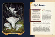 Alternative view 11 of The Little Book of Mushrooms: An Illustrated Guide to the Extraordinary Power of Mushrooms