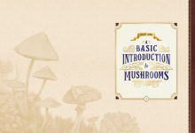 Alternative view 3 of The Little Book of Mushrooms: An Illustrated Guide to the Extraordinary Power of Mushrooms