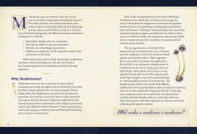 Alternative view 4 of The Little Book of Mushrooms: An Illustrated Guide to the Extraordinary Power of Mushrooms