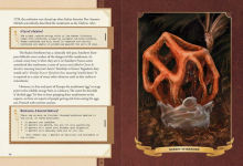 Alternative view 9 of The Little Book of Mushrooms: An Illustrated Guide to the Extraordinary Power of Mushrooms