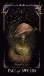 Alternative view 12 of Midnight Magic: A Tarot Deck of Mushrooms
